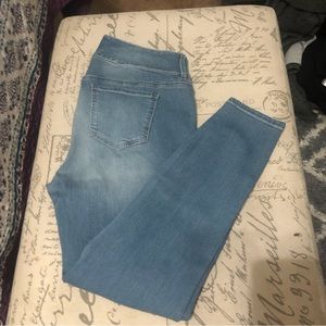 Torrid Jeans